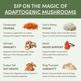 Mushroom Matcha Starter Kit (60 Servings)